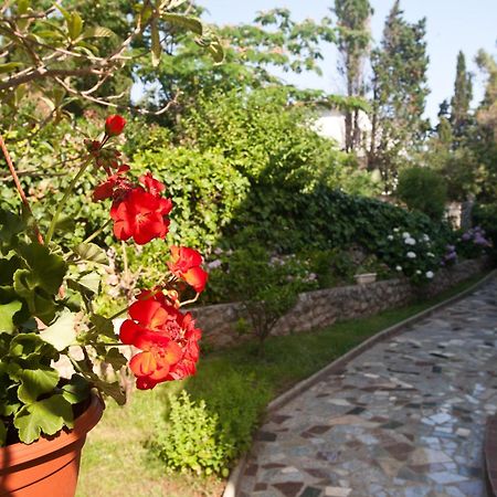 Bed & Breakfast Mario Krk Town Buitenkant foto